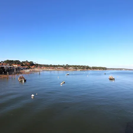 Magnifique Lumineuse Renovee Avec Piscine Chauffee, Terrasses Et Jardin - Fr-1-736-3 Villa *