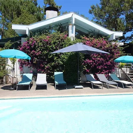 Villa Magnifique Lumineuse Renovee Avec Piscine Chauffee, Terrasses Et Jardin - Fr-1-736-3 *