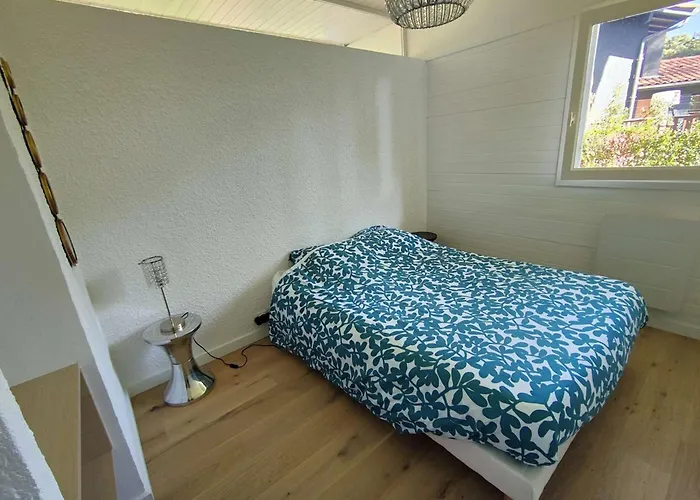 Magnifique Lumineuse Renovee Avec Piscine Chauffee, Terrasses Et Jardin - Fr-1-736-3 Villa
